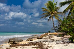 Caraïbes