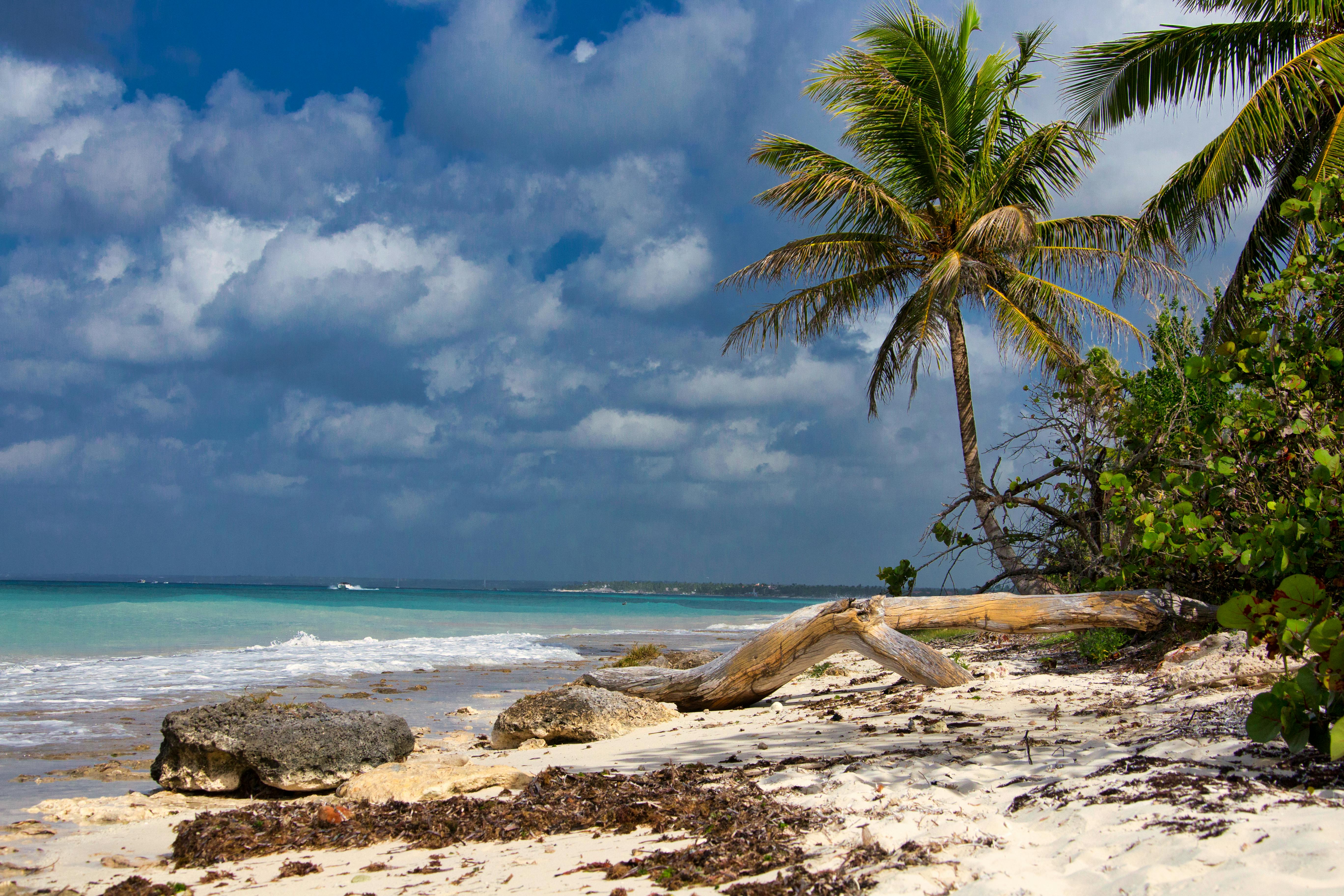 Caraïbes